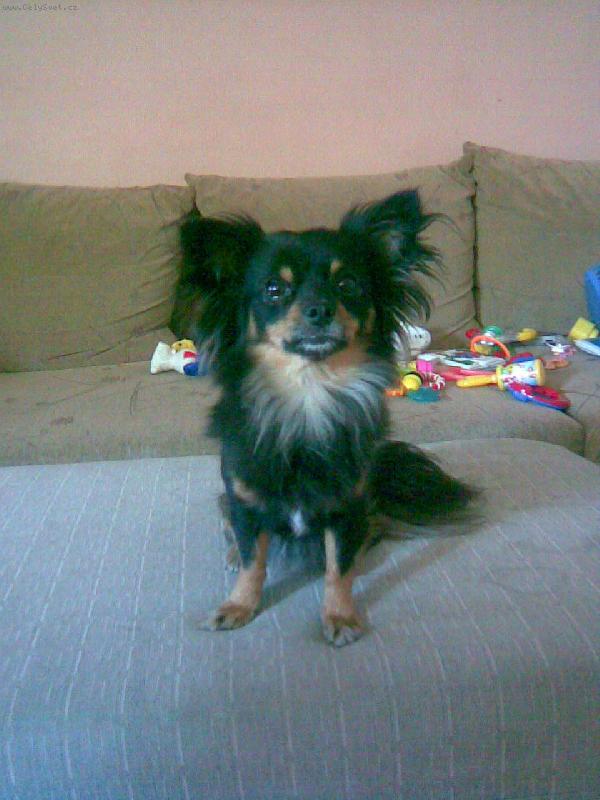 Foto: Besinka-úplná modelka