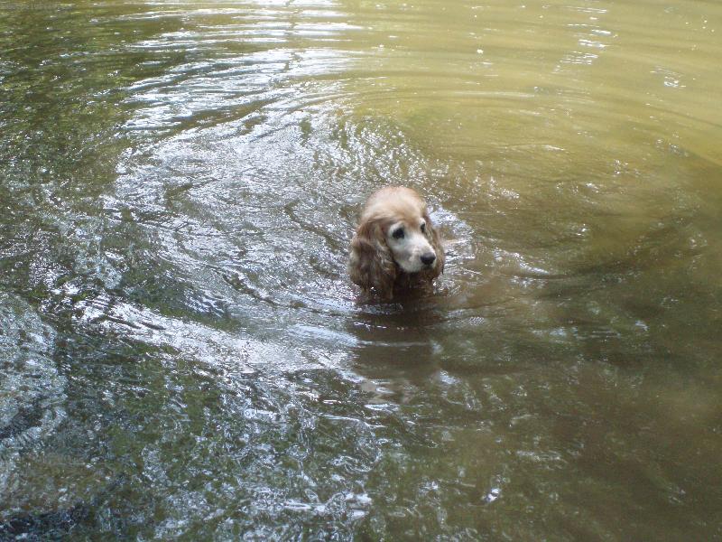 Foto: to jsem si pěkně zaplavala-odpolední koupání