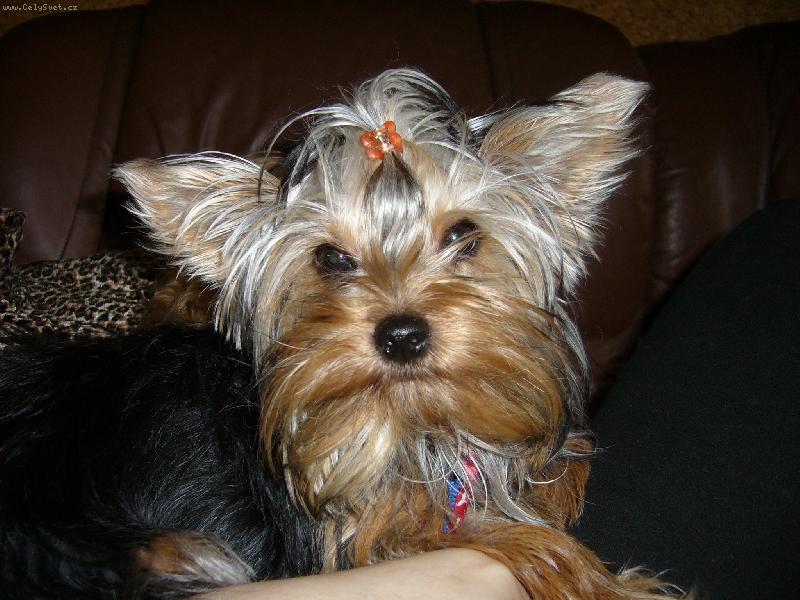 Foto: Ennynka-Náš milášek