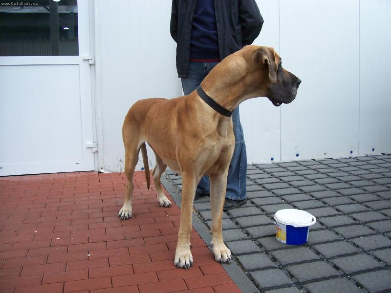 Foto: Agáta El-Vixen