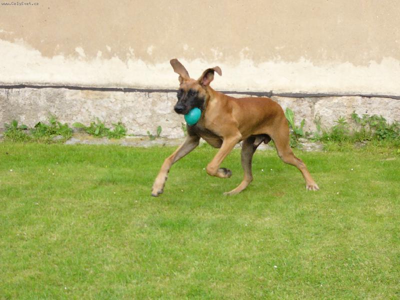 Foto: Enzo Rendog-To by bylo abych nevzlít...