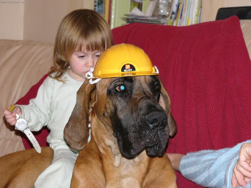 Foto: Enzo Rendog-Nový Bořek stavitel? Spí ničitel...