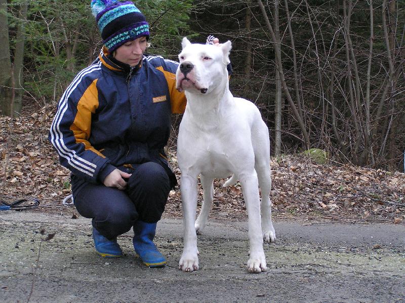 Foto: Rock s paničkou