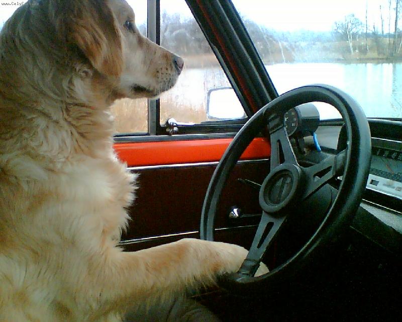 Foto: Sára-Autoškola