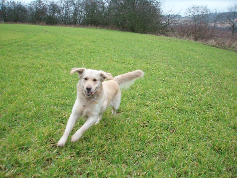 Foto: běžíííííííííím!