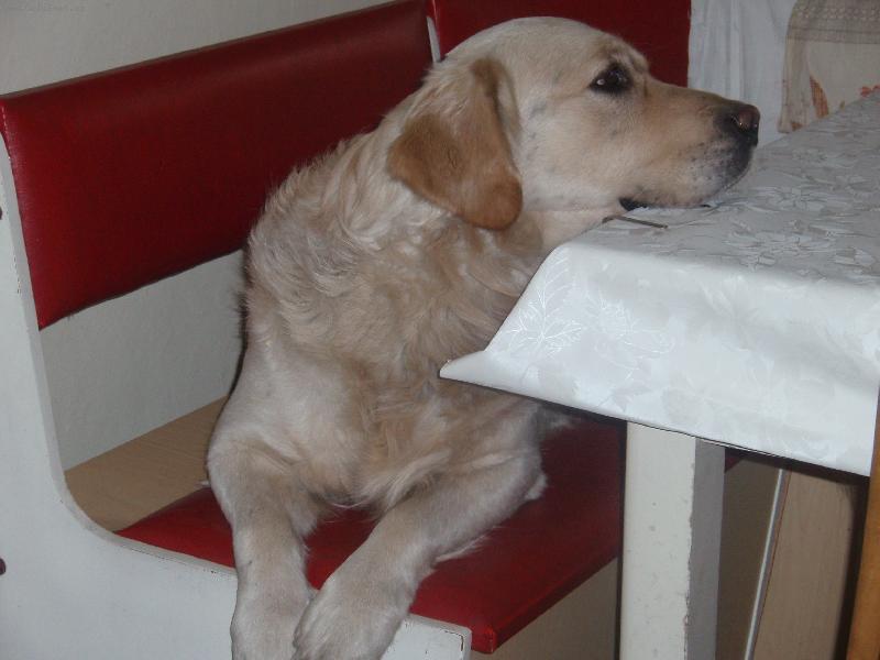 Foto: u babičky...-....tam se mi vždycky fain relaxuje!