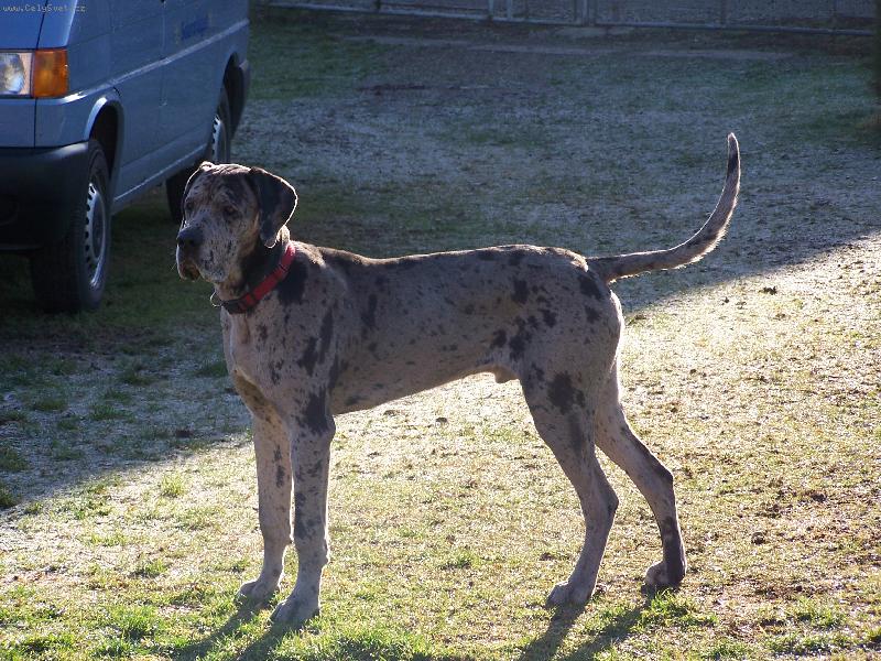 Foto: Igorek-říkají mi Igráku