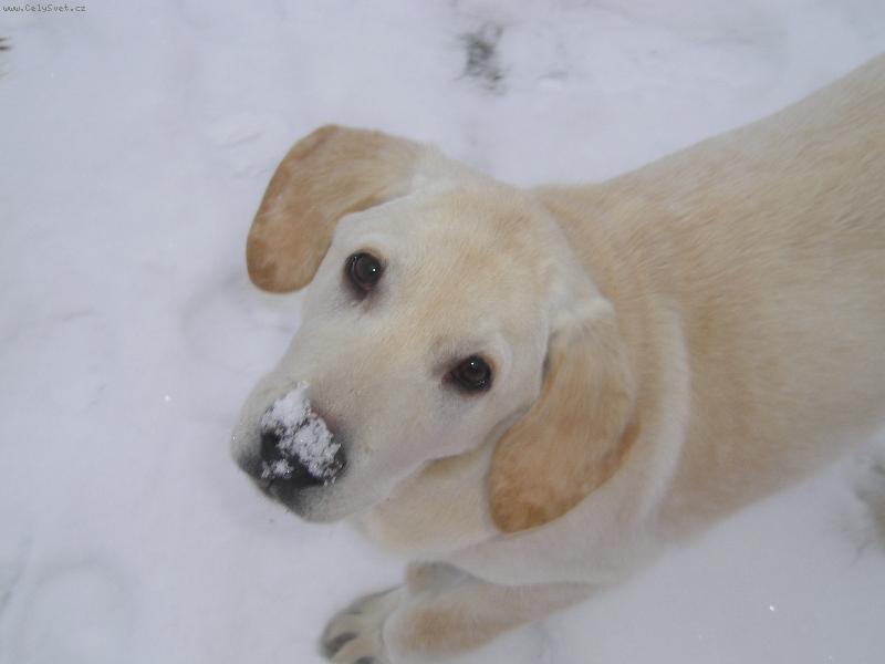 Foto: Damiján a první sníh