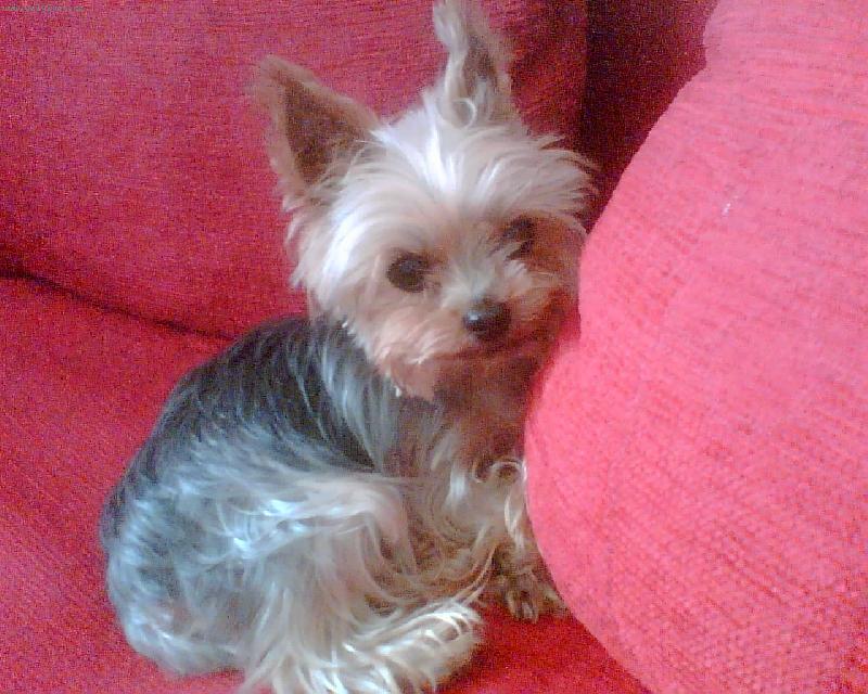 Foto: Kikinka z Ústí nad Labem-Kikinka z Ústí nad Labem