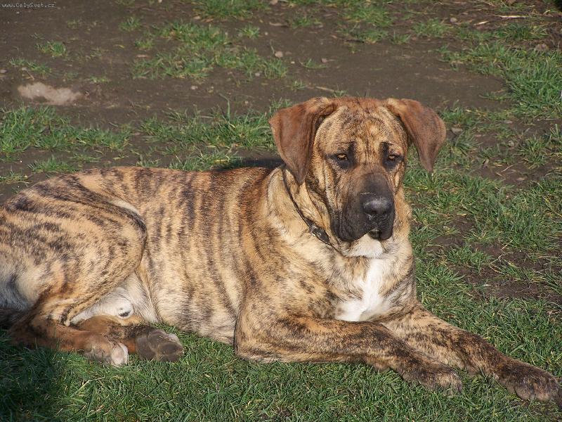 Foto: Fidík-9mesíců