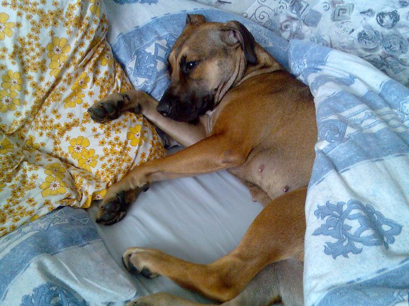 Foto: Corina pohodářka-Takhle si to užívá.