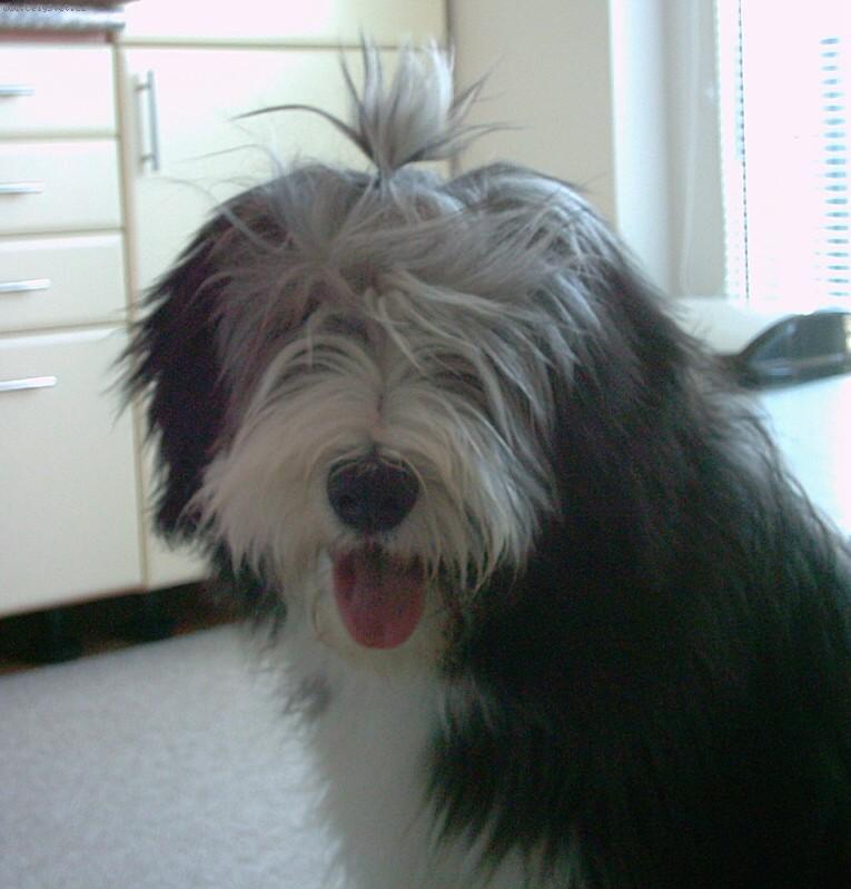 Foto: miminko-to mi bylo 6 měsíců