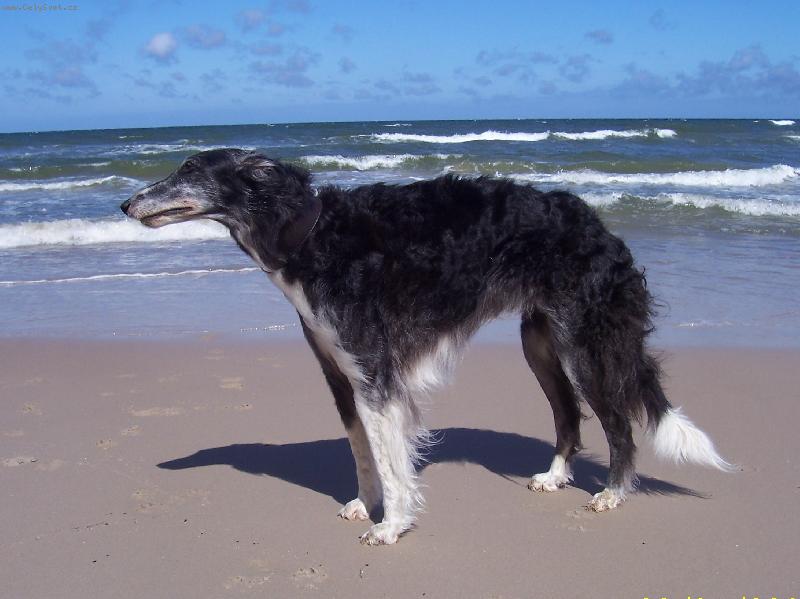 Foto: na výletě-Natalma z Palatinu