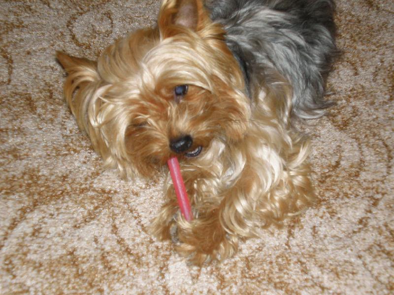 Foto: Samanta-tyčka