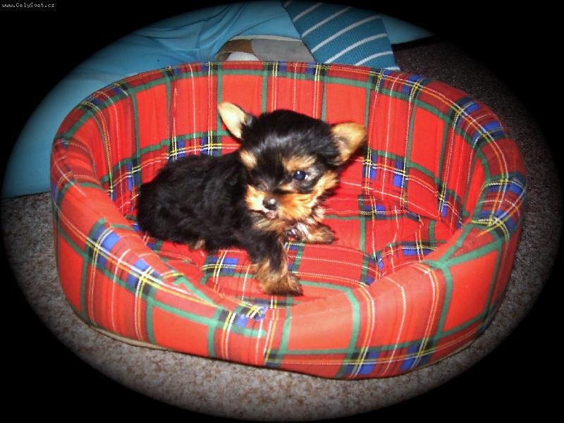 Foto: Naše velké ,,maličké\" štěstí