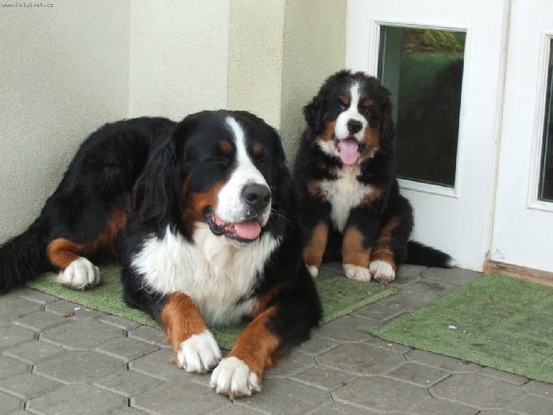 Foto: Astor Polepské údolí