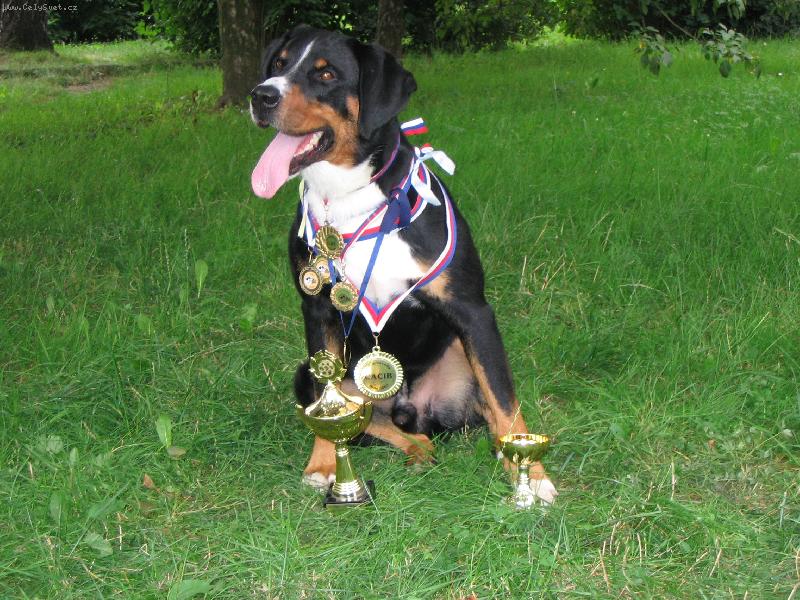 Foto: Arcos z Tichého údolí