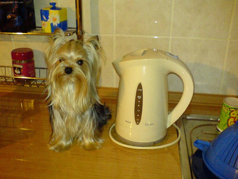 Foto: Jolly 15 měsíců-kávu?