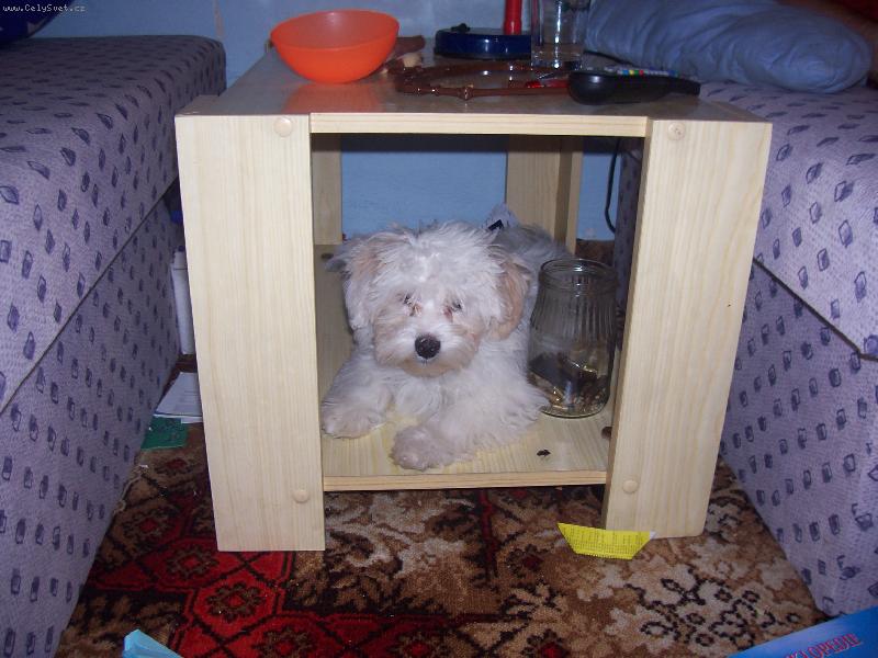 Foto: Timeček-tady mě nikdo nenajde