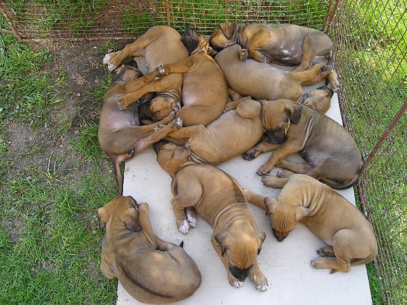 Foto: Až vyrostem, půjde z nás strach!