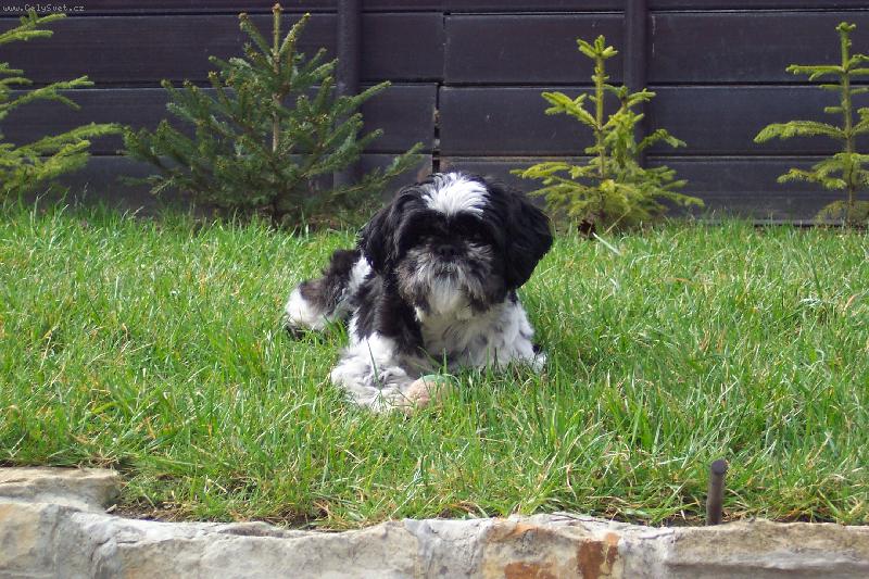 Foto: Já jsem Valdemar to koukáte co?