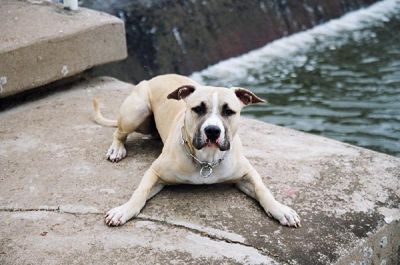 Foto: Ronny-Náš miláček