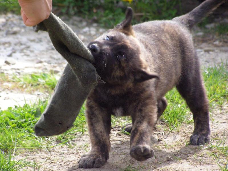 Foto: Bar Canto aus Mährischen Bergen