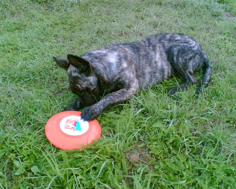 Foto: Bady Rolf aus Mährischen Bergen