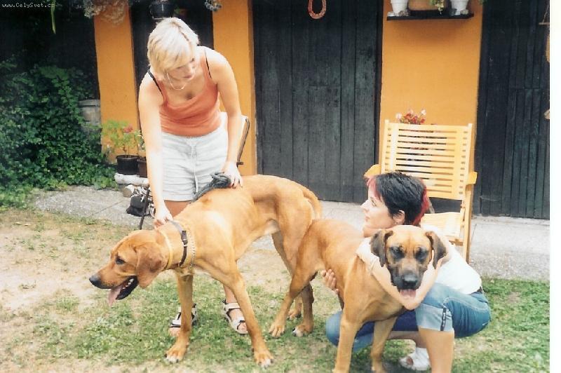 Foto: Tak to bylo Gucciho poprvé.-Gucci a jeho nevěsta Ria