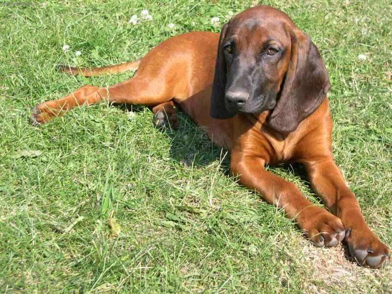 Foto: Carecek-miláček :-)