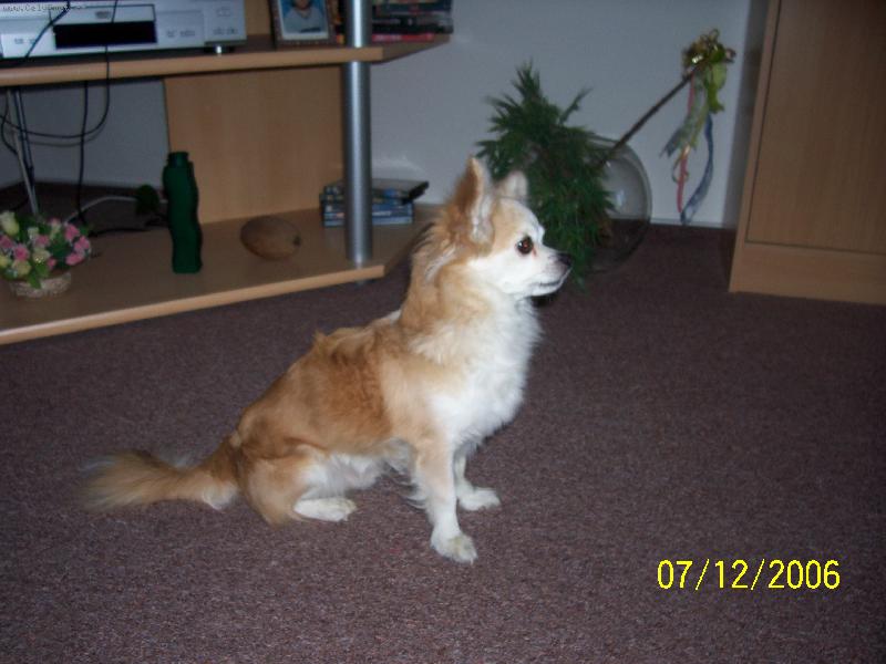 Foto: Denisek-Náš zasloužilý tátá