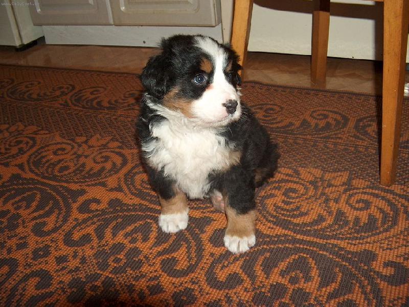 Foto: Mášenka-  jako plyšová