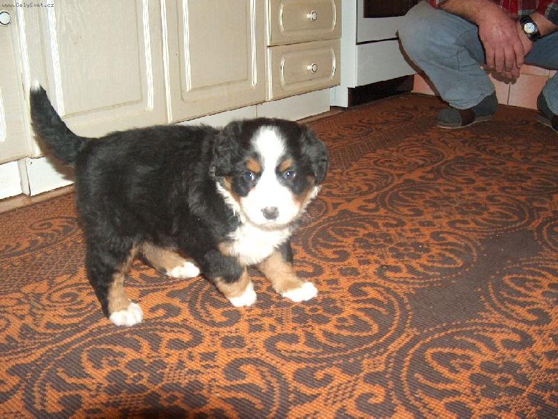 Foto: Mášenka- a ještě jednou Mášenka jako  miminko