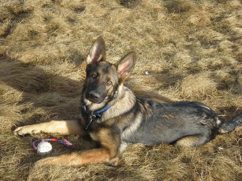 Foto: Charly-Zaslúžený odpočinok