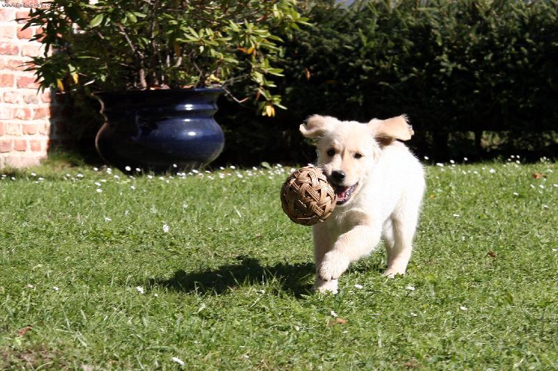 Foto: Alka-Pojď si hrát