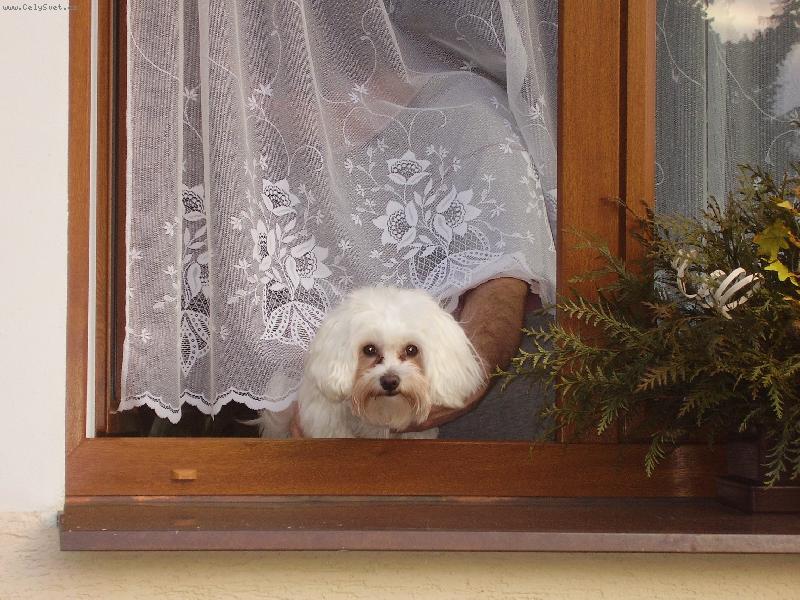 Foto: Samuel kouká jak je dneska venku:-))