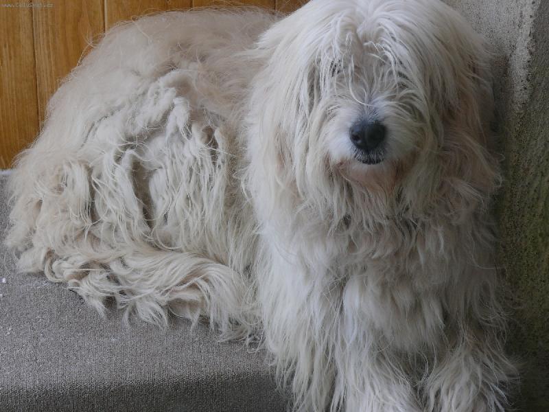 Foto: Naše ketynka 2