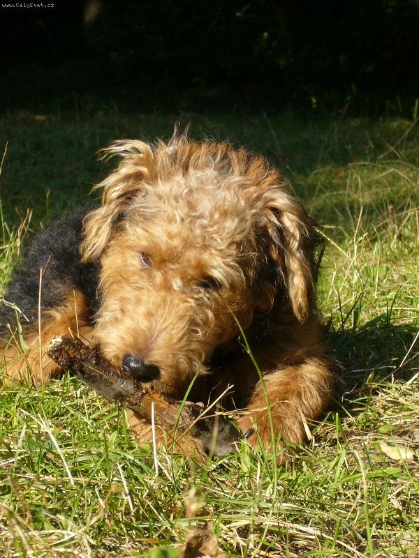 Foto: GOTFI-Gotfi na Kačíne