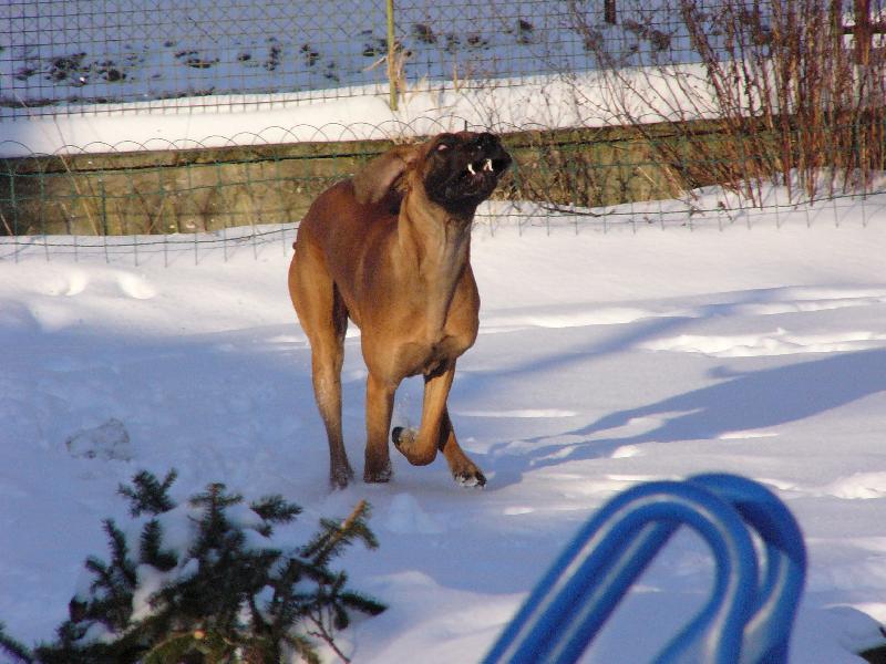 Foto: Enzo Rendog-Dózí upír
