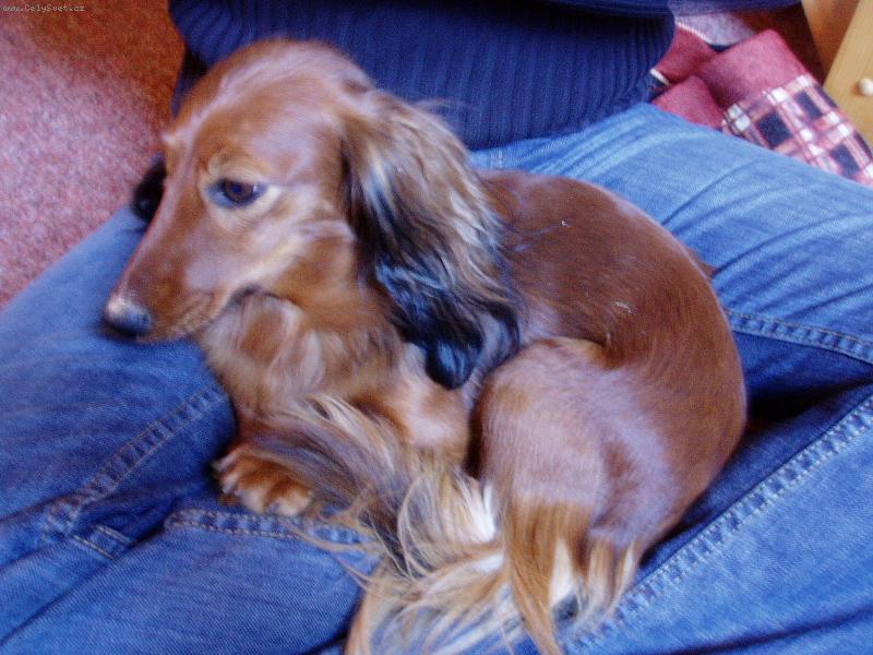 Foto: naše malá Natálka-naše malá Natálka