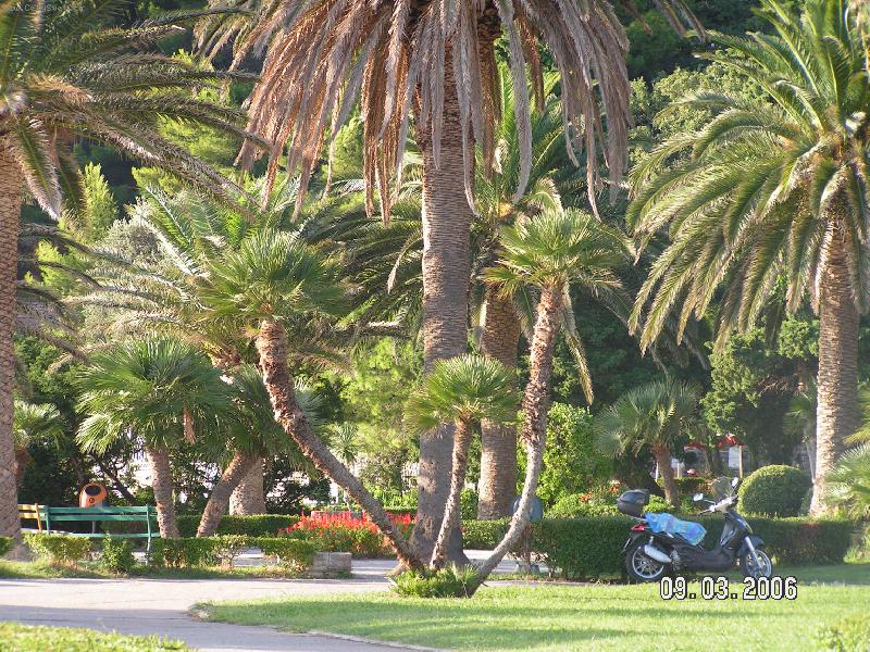 Foto: park u plaze - Sveti Stefan