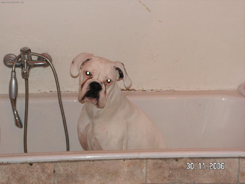 Foto: kde je ta masáž