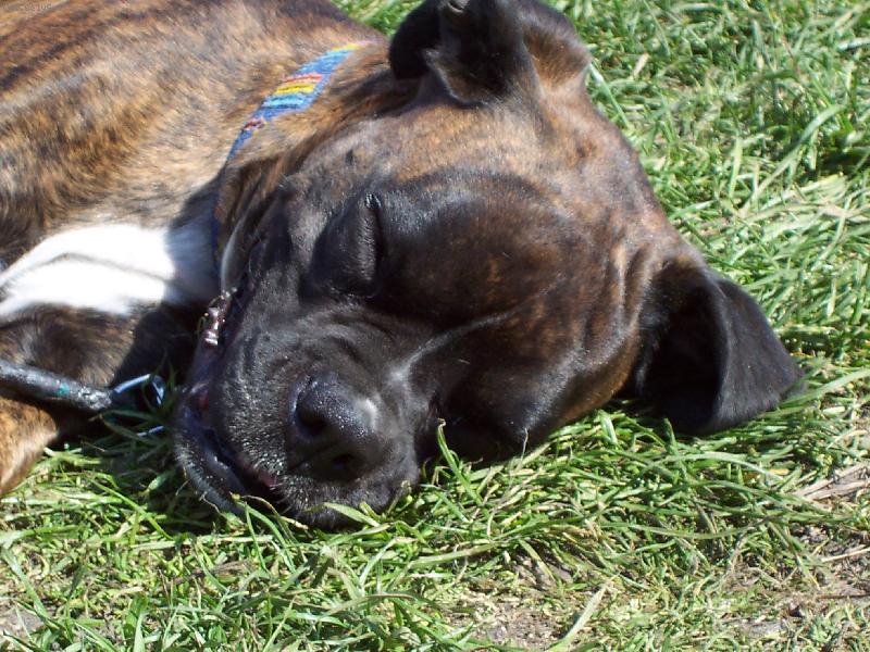 Foto: Baruška odpočívá