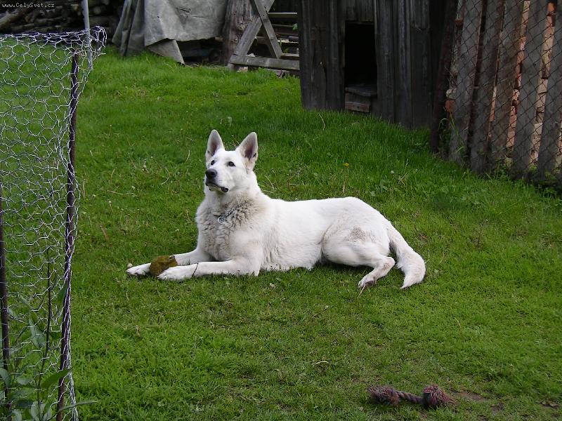 Foto: kam letí ti ptáci!!