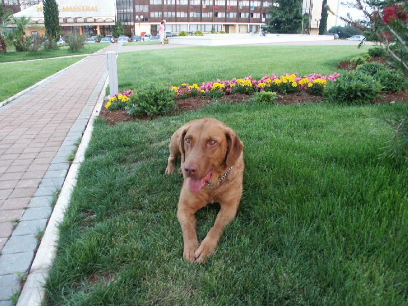 Foto: Ich.,Mutli Ch.Ammie ..to jsem já...))))-tak to jsem já...