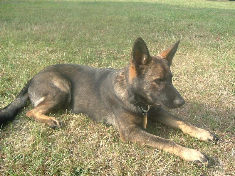 Foto: Terri ze Zlaáku