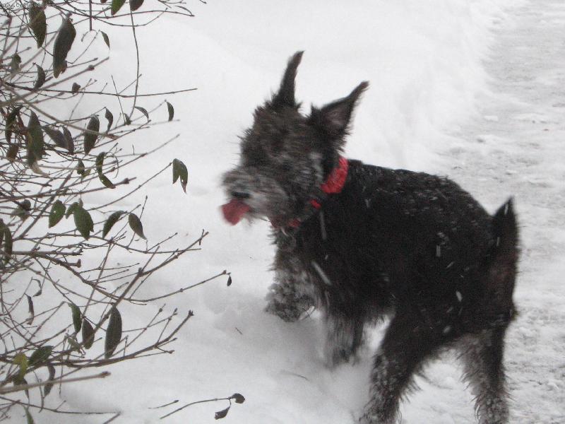 Foto: Konečně zima