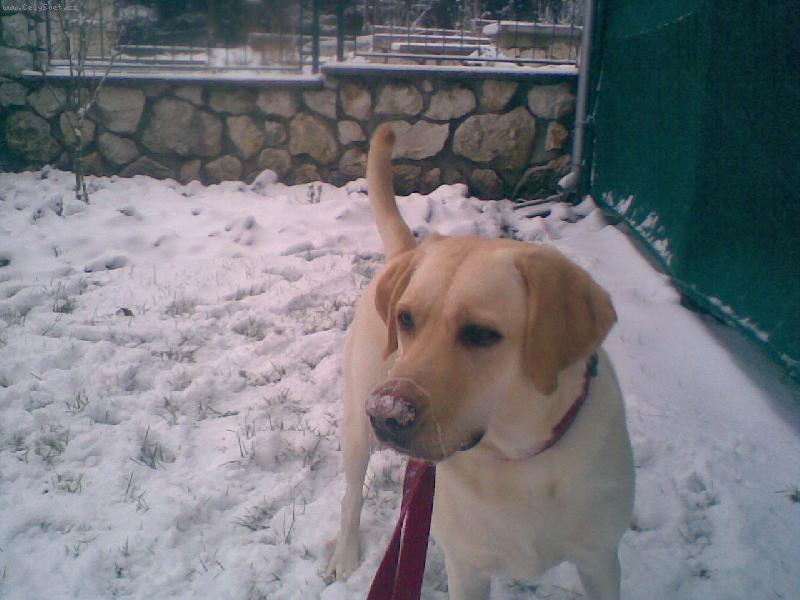 Foto: Meginka-zimáá