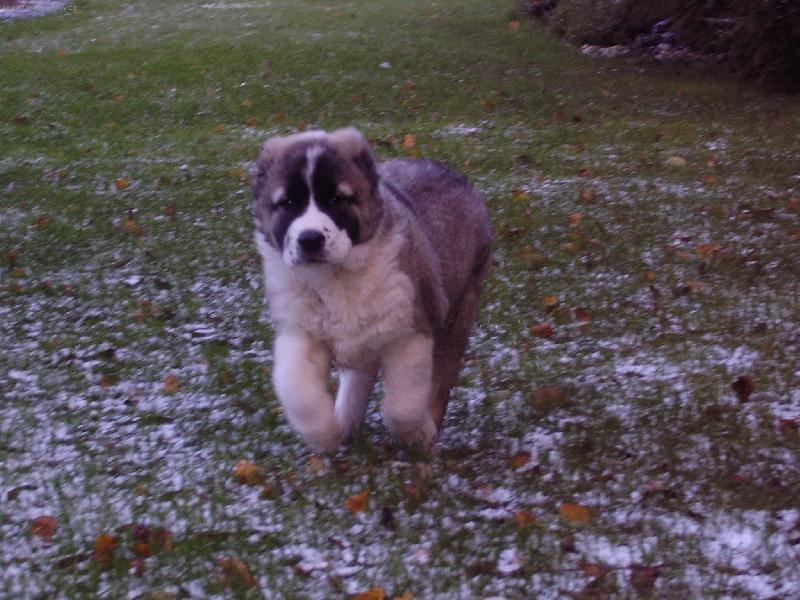 Foto: Malá slečna-2 měsíce