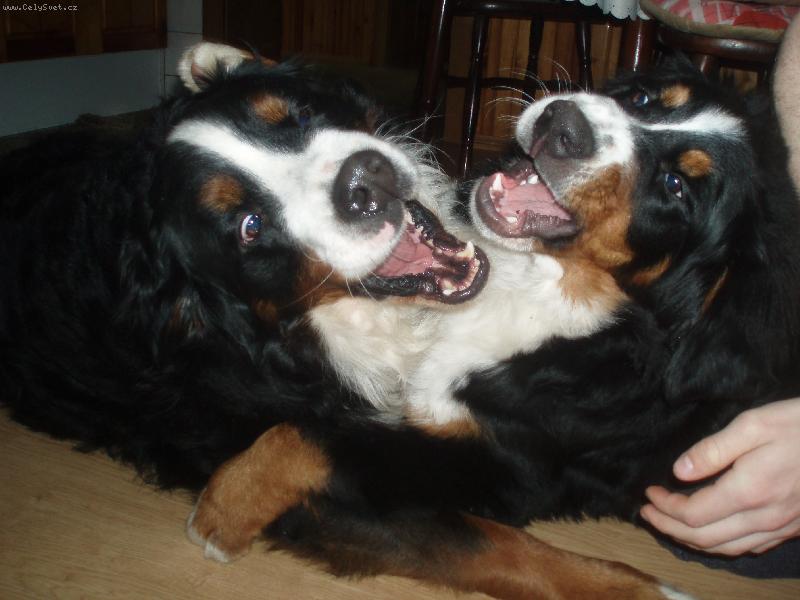 Foto: punská vojna-vojna po berňácky